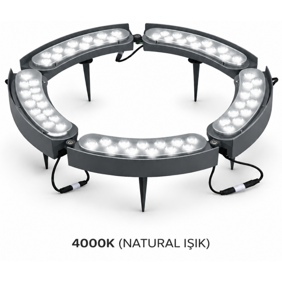 4000K Natural Işık Led Halka Ağaç ve Sütun Aydınlatma