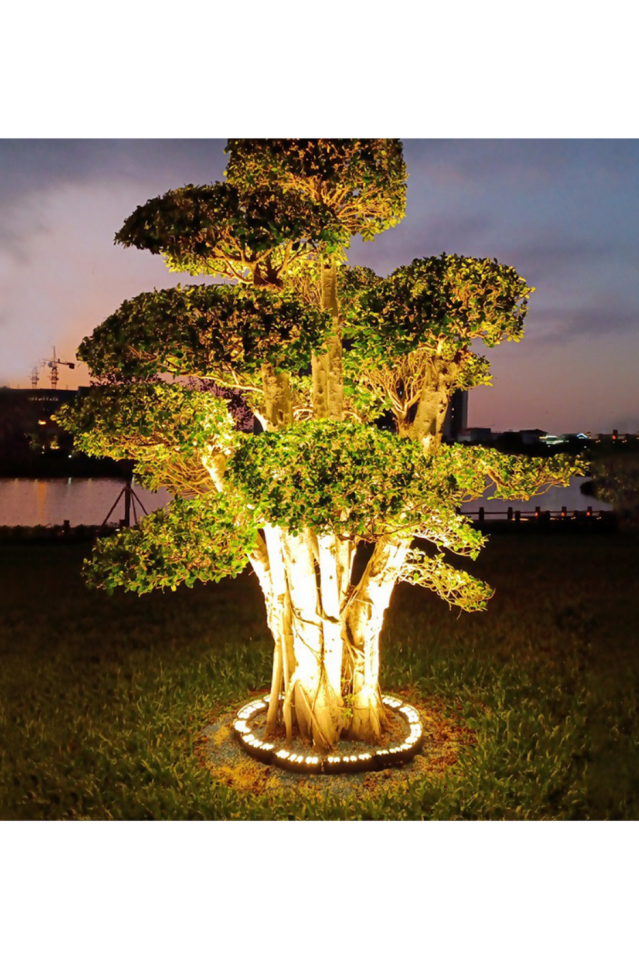 Palmiye Ağaç ve Sütun Aydınlatma Armatürü