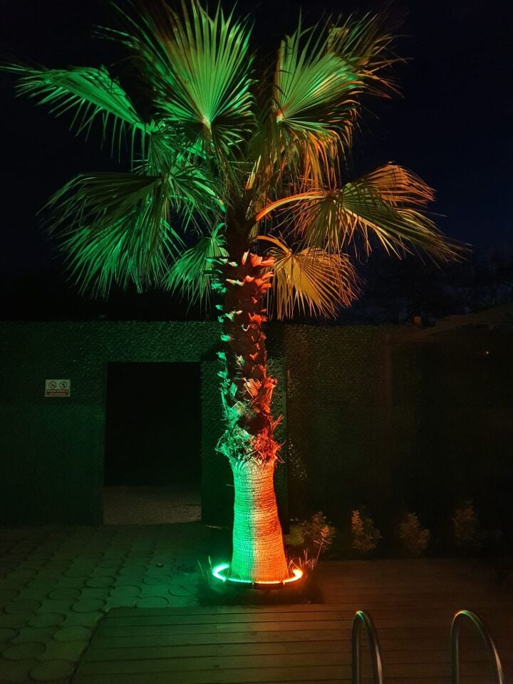 Led Halka Palmiye Ağaç Aydınlatma Armatürü IP68 Su Korumalı